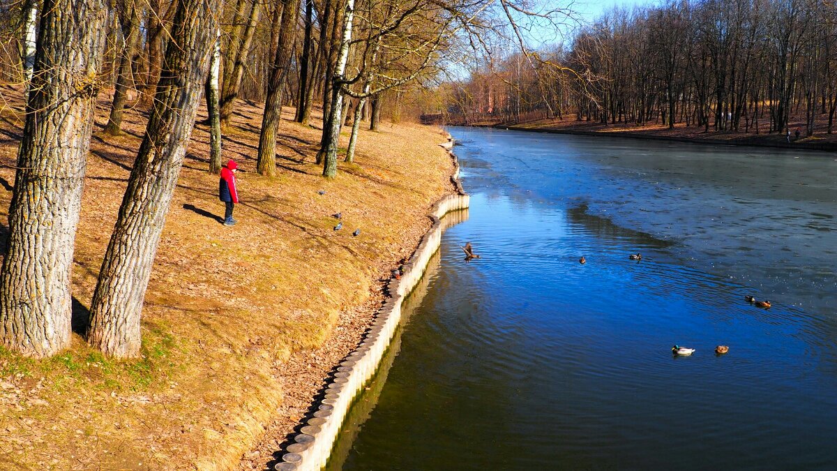 Весенний парк - Милешкин Владимир Алексеевич 