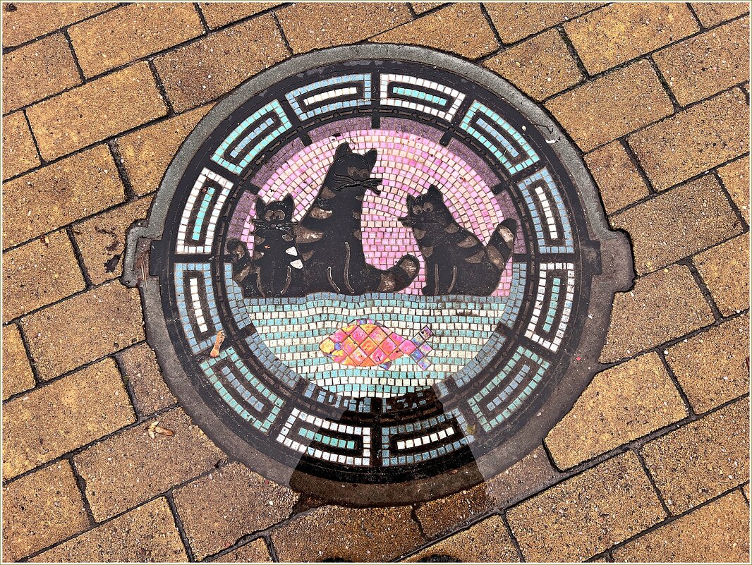 Зеленоградский люк. - Валерия Комова