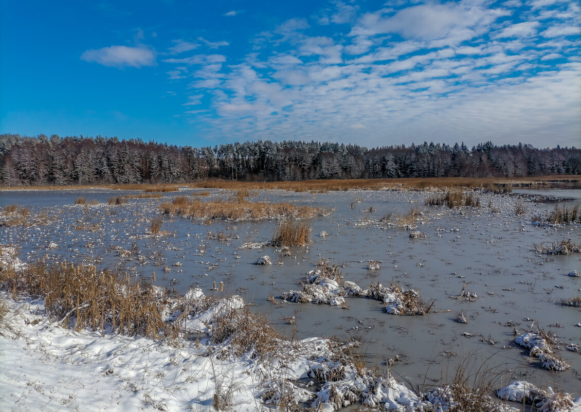 Солнечный мартовский день.... - Sergey (Apg)