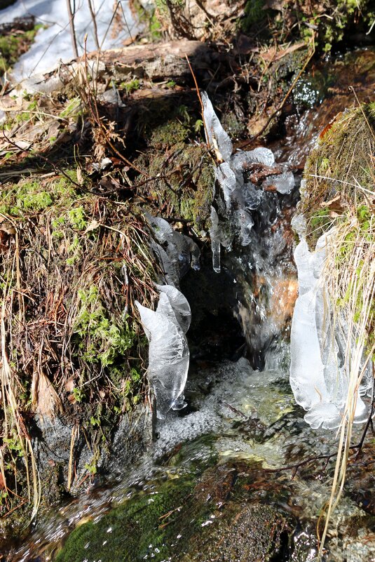 И тает лёд... - Ольга И тает лёд... - Ольга