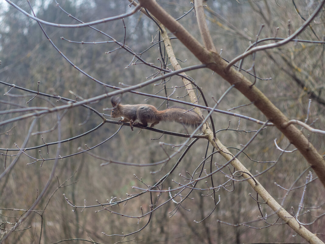 ___ - Yuriy V ___ - Yuriy V