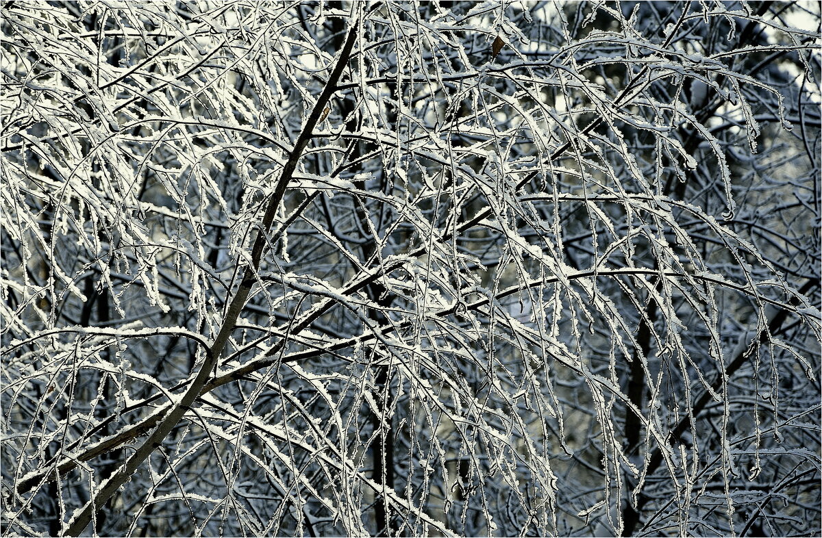 ЗИМА - Юрий Владимирович 34 ЗИМА - Юрий Владимирович 34