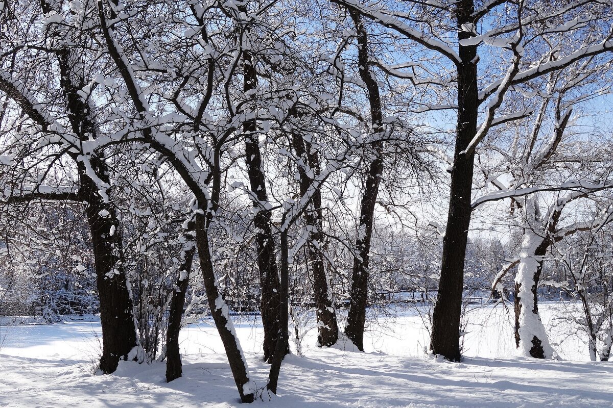 Окрестности Калининграда - Рита Симонова Окрестности Калининграда - Рита Симонова