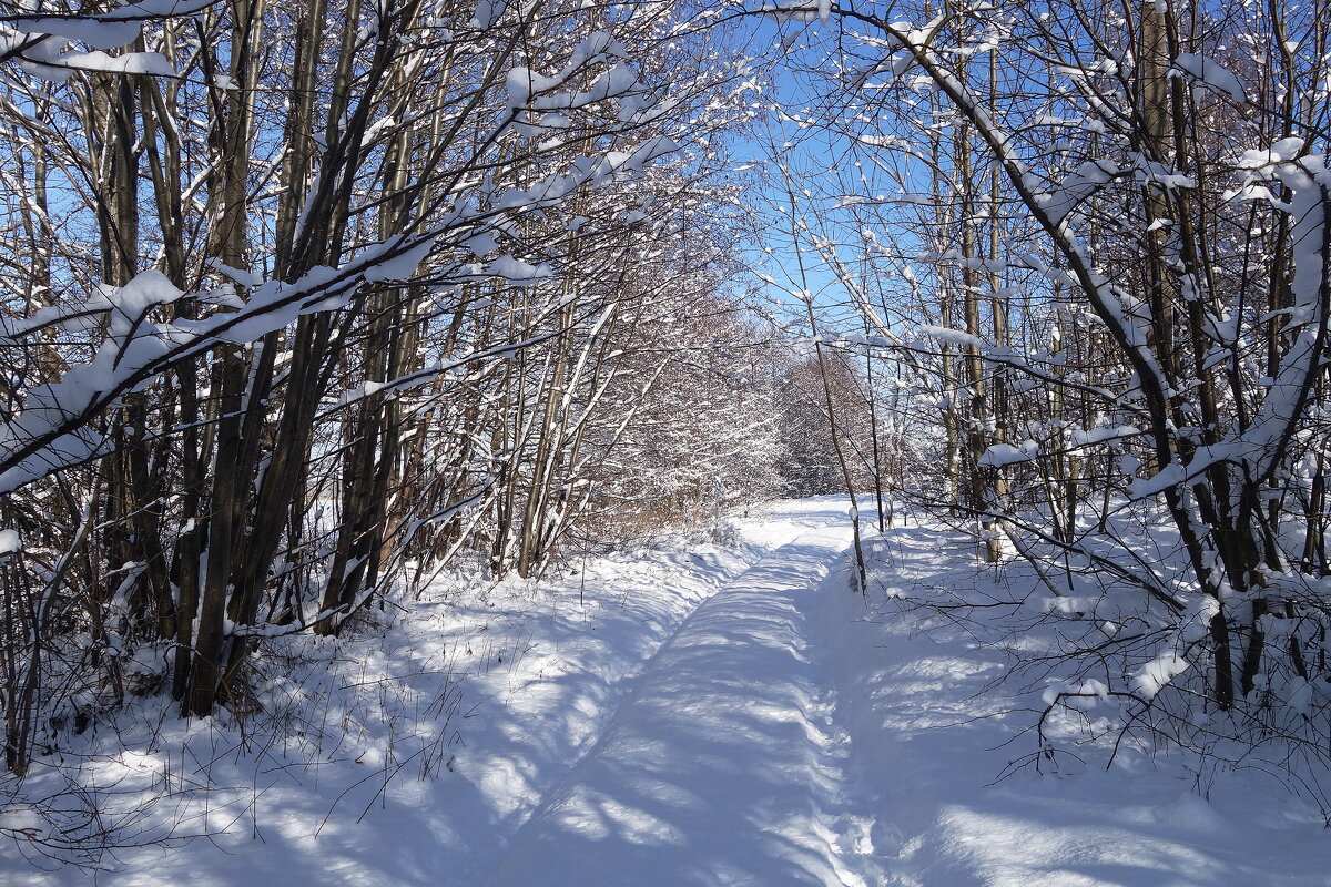 Окрестности Калининграда - Рита Симонова