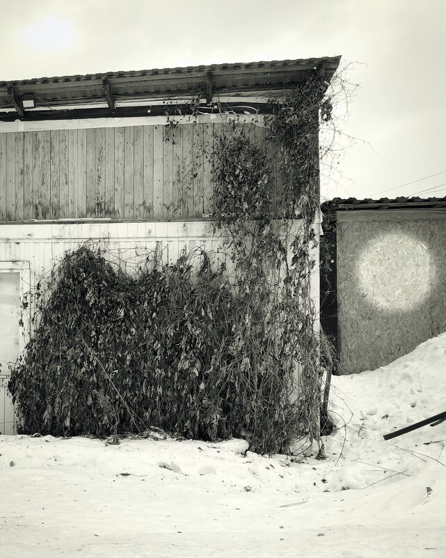 Название отсутствует - Денис Безногов Название отсутствует - Денис Безногов