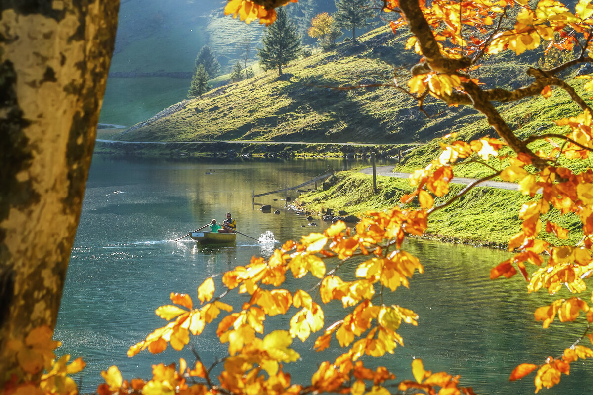 Лсень в горах - Владимир Колесников