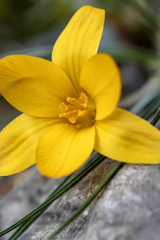 Солнечное утро - Валерий Басыров Солнечное утро - Валерий Басыров