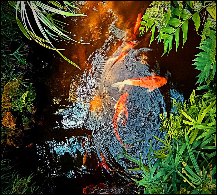 Fish - Denis Lipatov