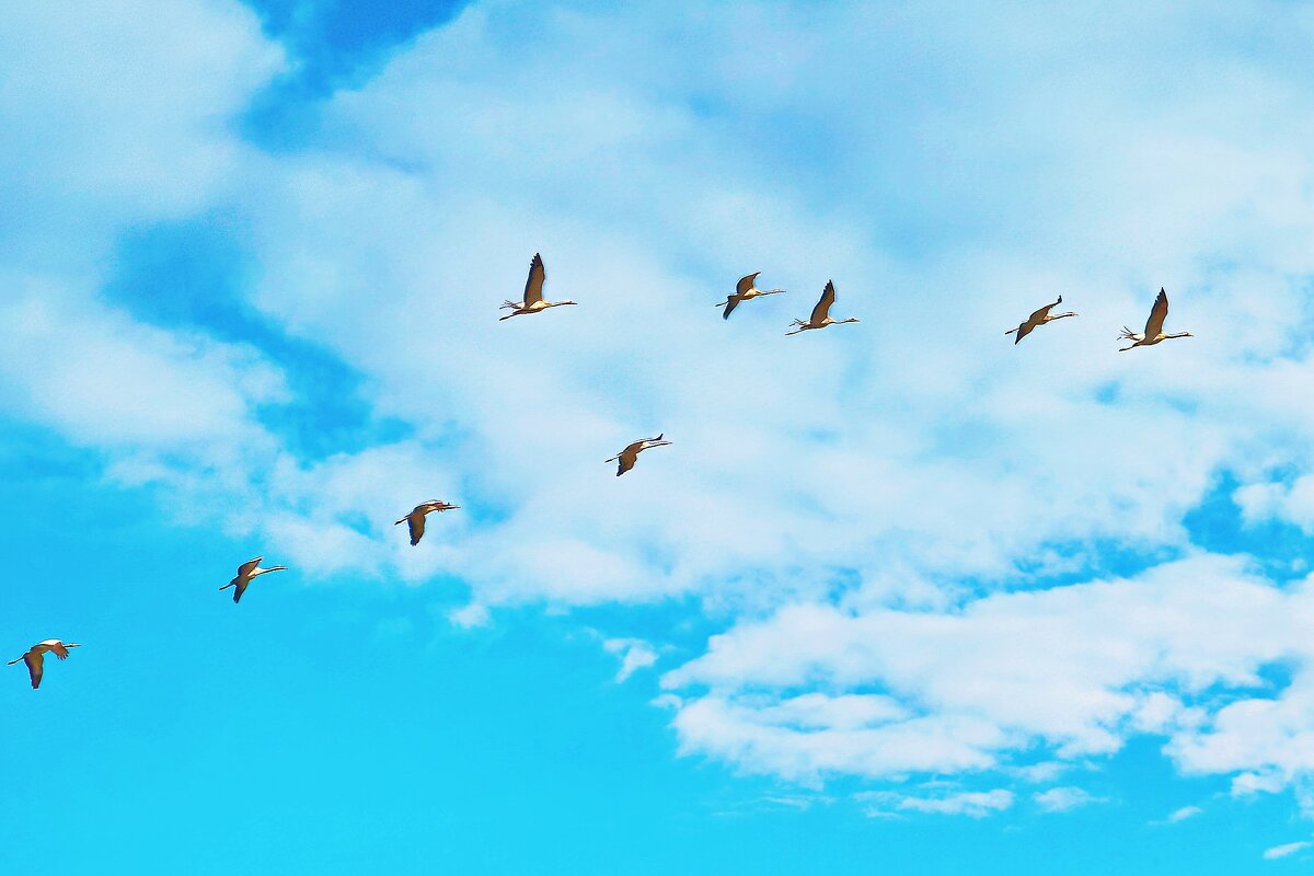 Клин - Sergey Grim Клин - Sergey Grim