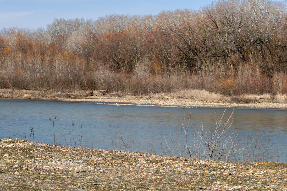 Весенние прогулки - Игорь Сикорский Весенние прогулки - Игорь Сикорский