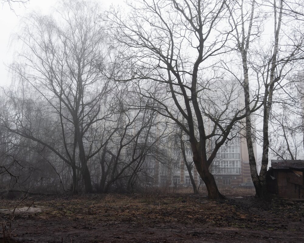 Пустырь у дома - Татьяна * Пустырь у дома - Татьяна *