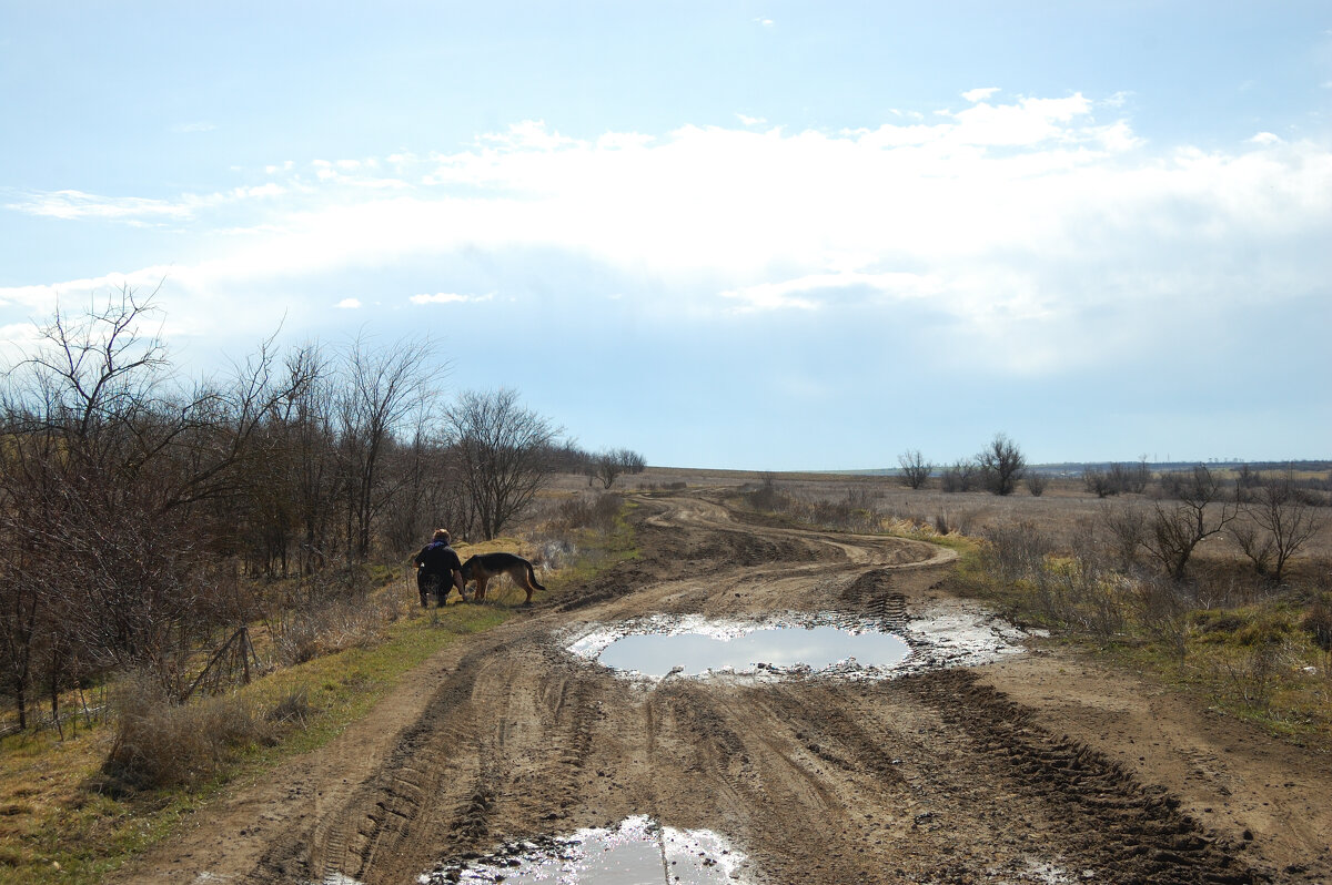 Эх, дороги - Insanus Jackal