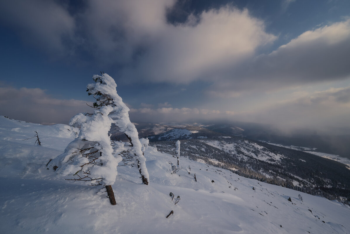 * - Александр Иванов * - Александр Иванов