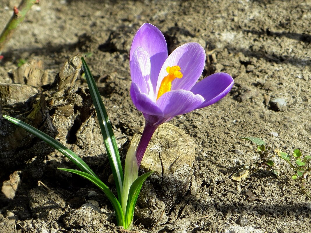 А вот и я! - Татьяна Смоляниченко