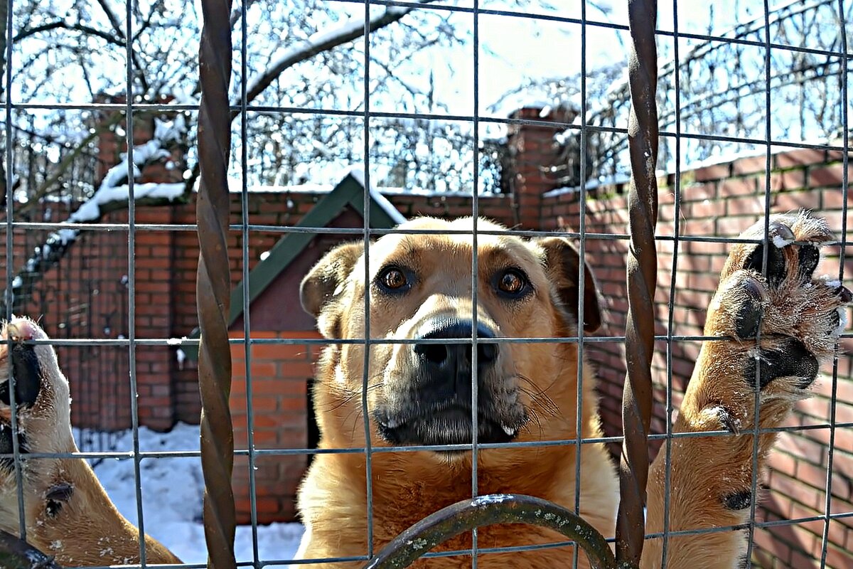 Друг мой Лёнька. - Михаил Столяров