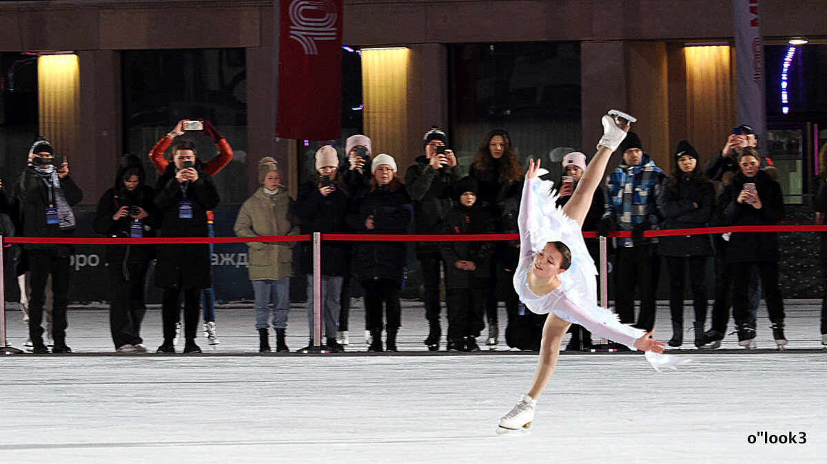 белый лебедь - Олег Лукьянов белый лебедь - Олег Лукьянов