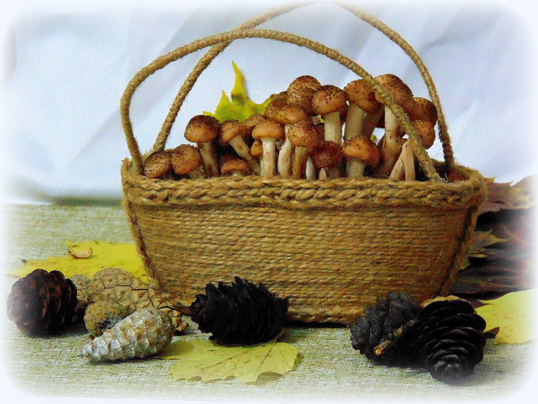 Опятки. - nadyasilyuk Вознюк Опятки. - nadyasilyuk Вознюк