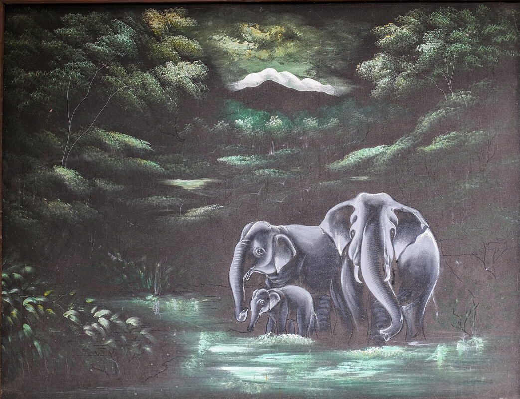 Слоны - Dmitry i Mary S
