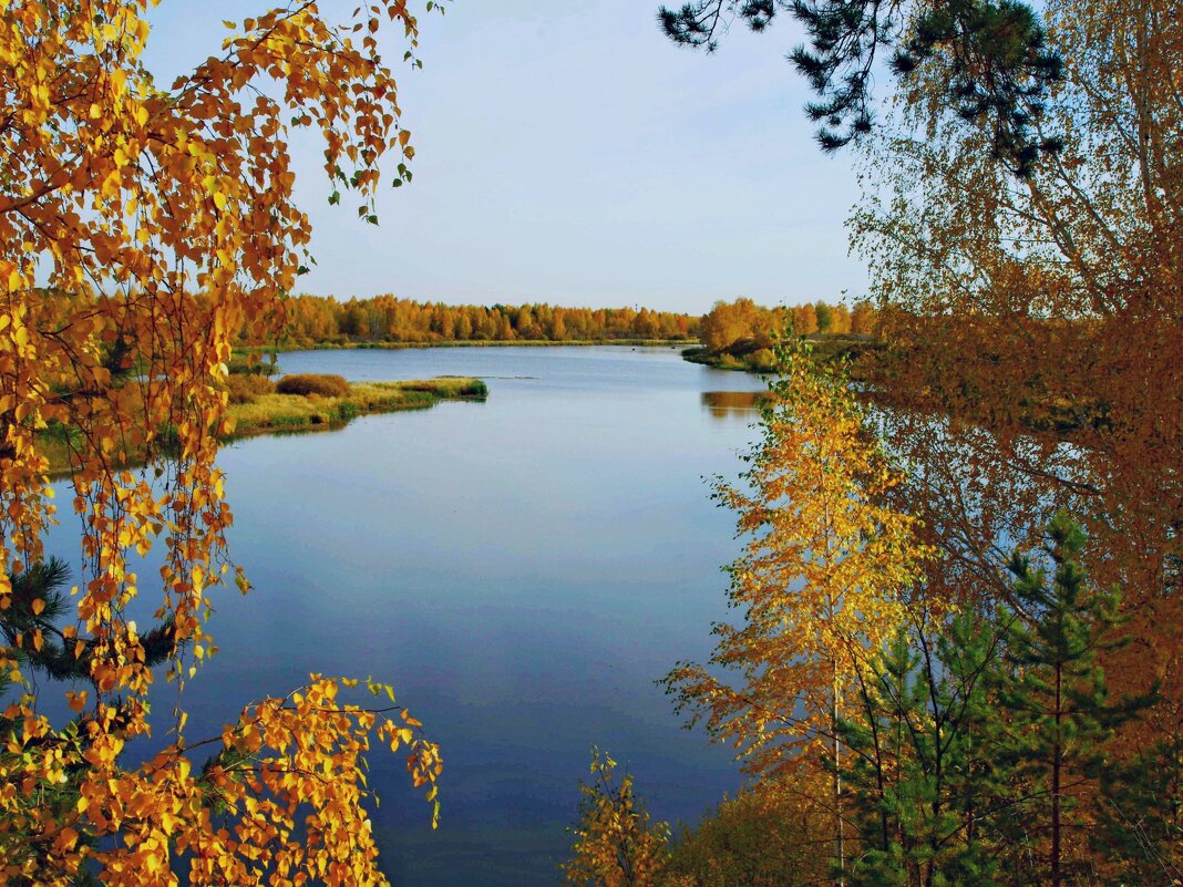 Золотая осень - Сергей Швечков