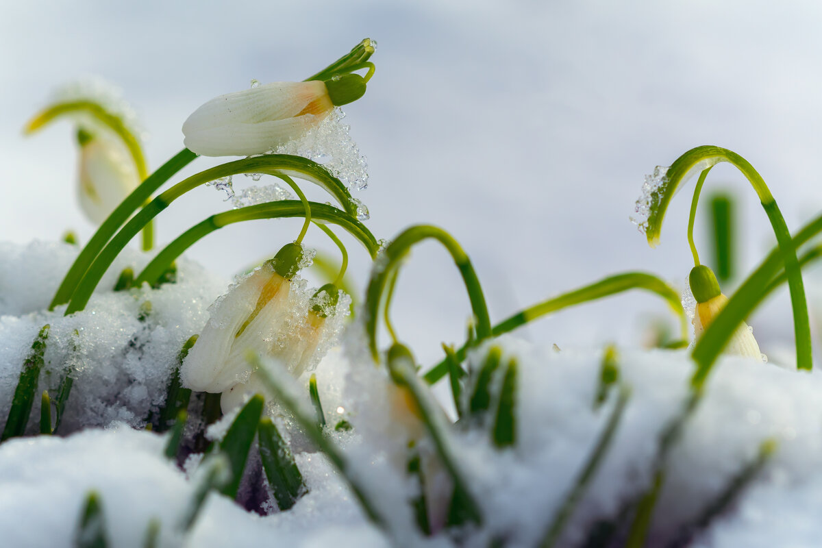 ***** - Виталий Емельянов