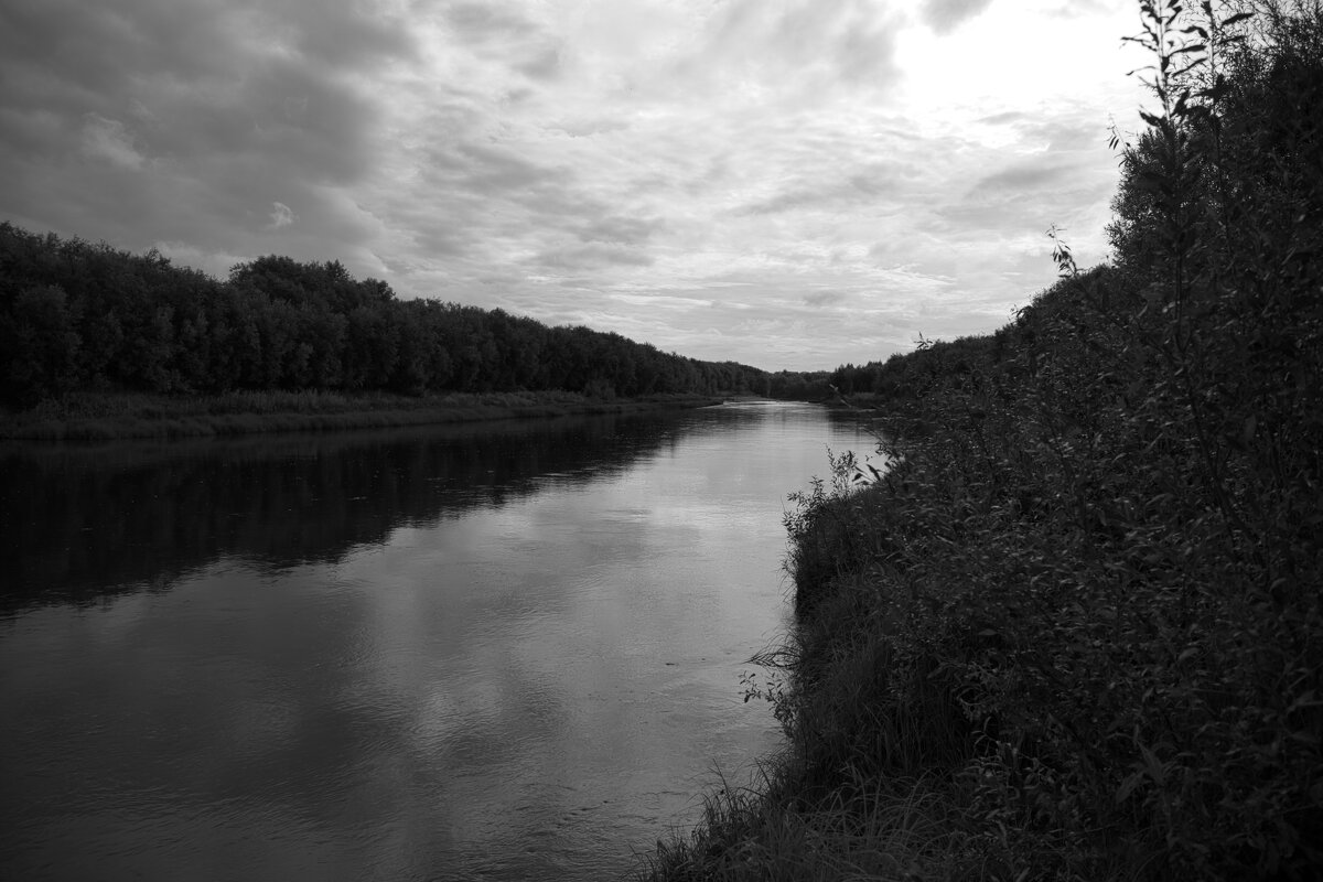 Название отсутствует - Денис Безногов Название отсутствует - Денис Безногов