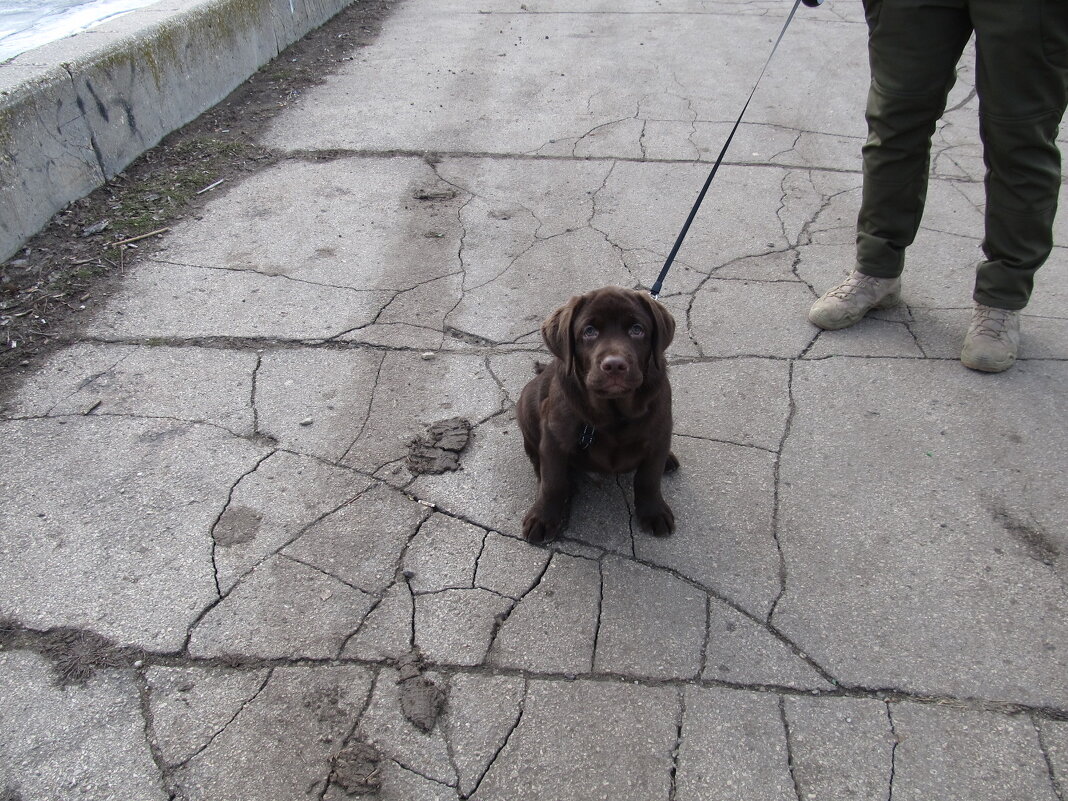 встреча - Елена Шаламова