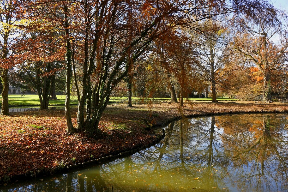 Солнечный день ноября - Юрий. Шмаков Солнечный день ноября - Юрий. Шмаков