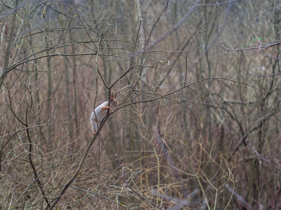 ___ - Yuriy V ___ - Yuriy V