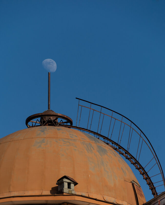 Кто живёт на крыше - Дмитрий Коноплев Кто живёт на крыше - Дмитрий Коноплев