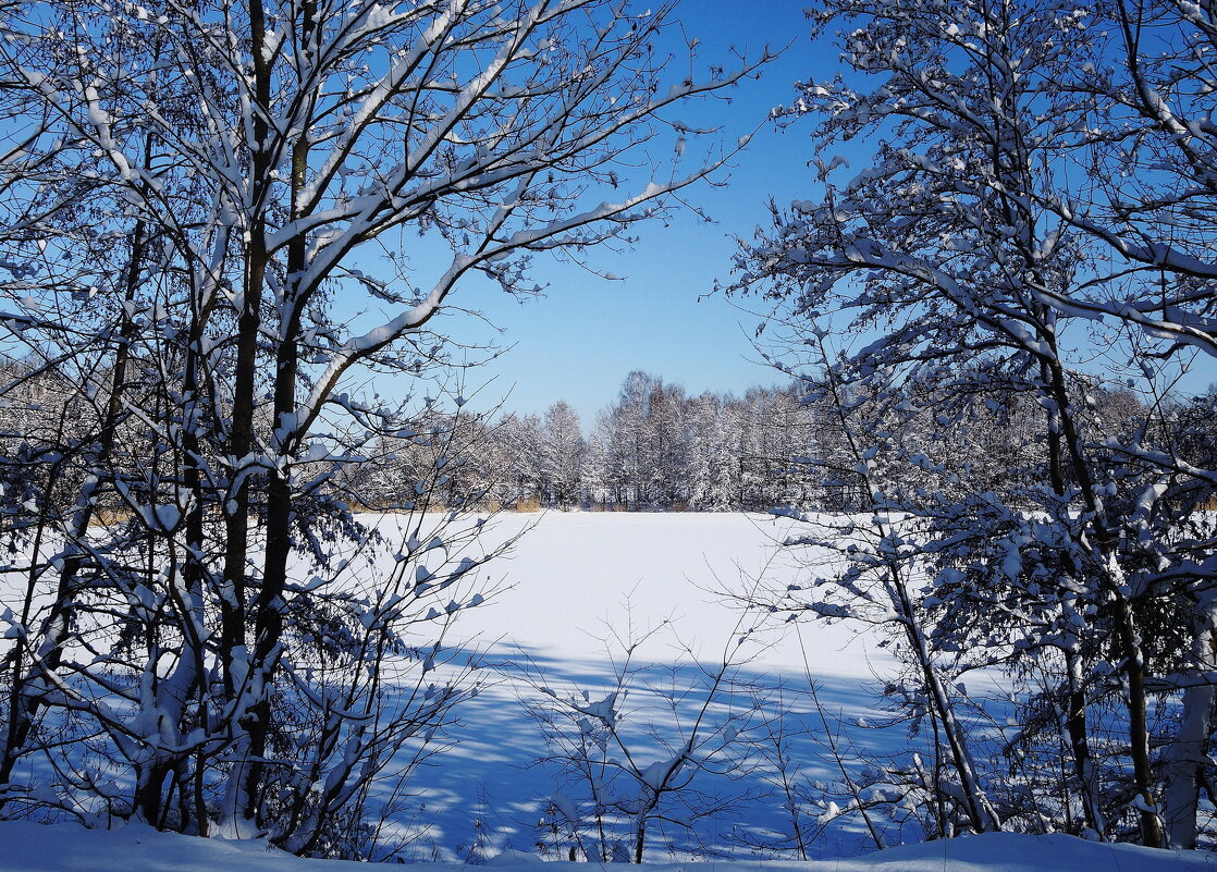 Окрестности Калининграда - Рита Симонова Окрестности Калининграда - Рита Симонова