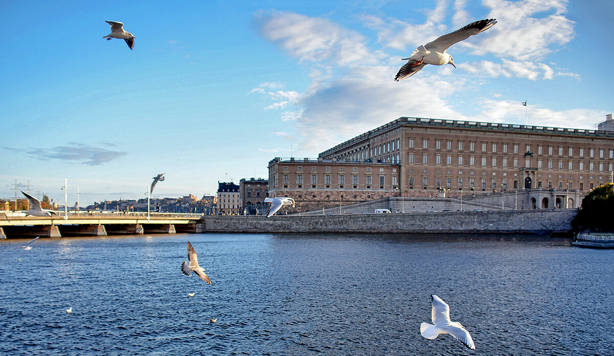 Это рай для всего живого - Alexandеr P Это рай для всего живого - Alexandеr P