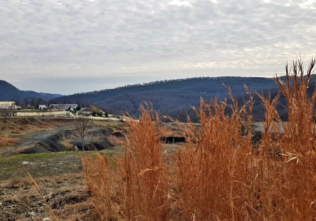 ОТДЫХ НА ПРИРОДЕ - Tata Wolf