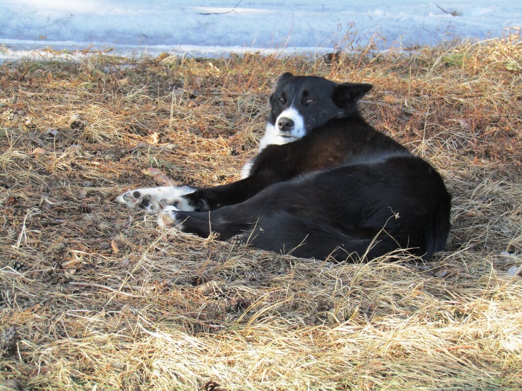 На солнышке - Galaelina ***