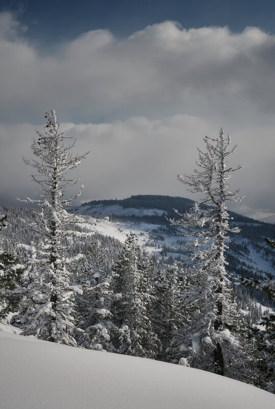 * - Александр Иванов