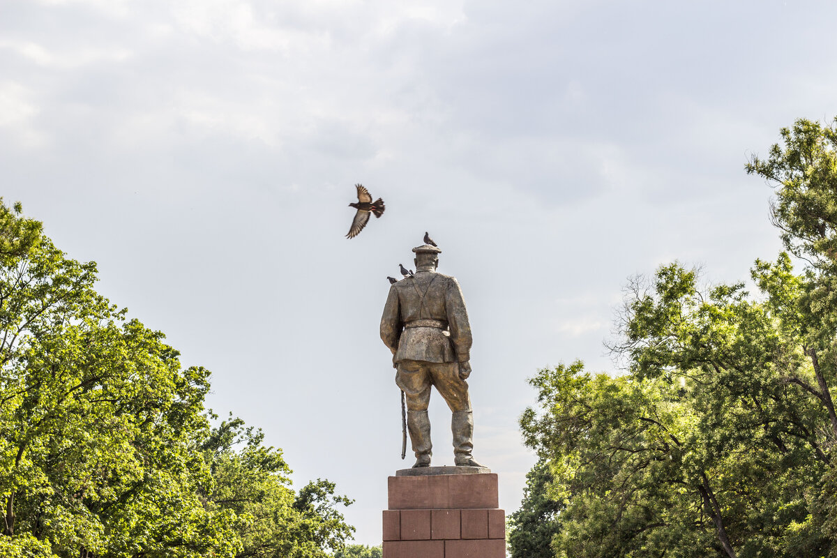 Гришенька & голуби - Коля Лукашов