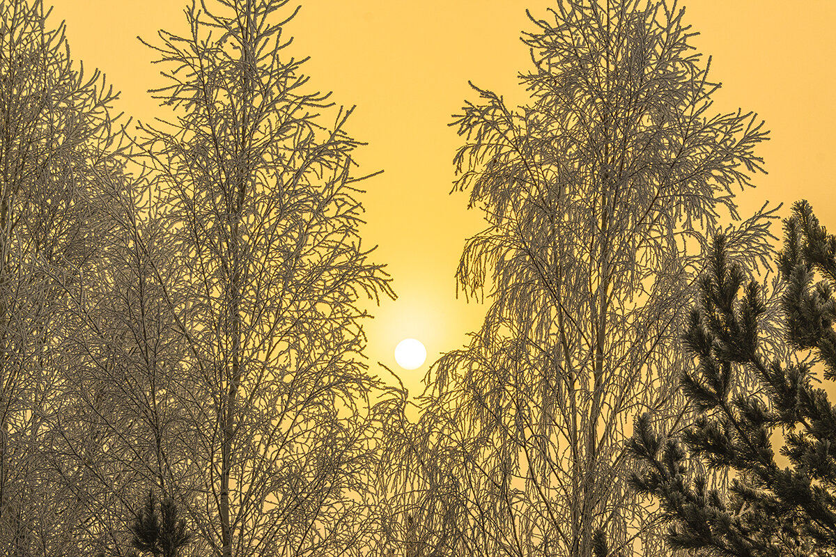 утро - Максимус Кунгурский утро - Максимус Кунгурский