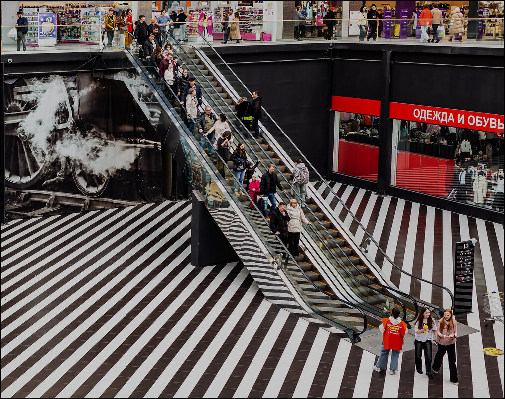 За покупками - Александр Тарноградский За покупками - Александр Тарноградский