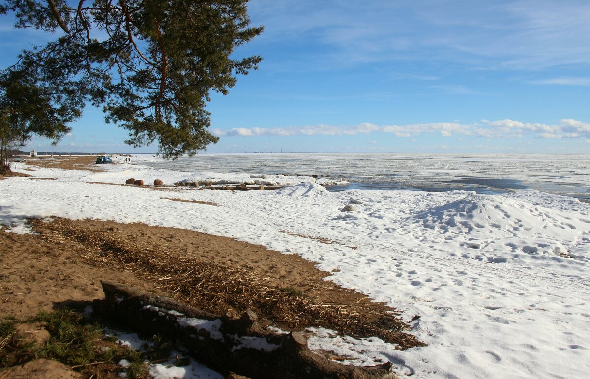 Зеленогорск. Март - Наталья Герасимова Зеленогорск. Март - Наталья Герасимова
