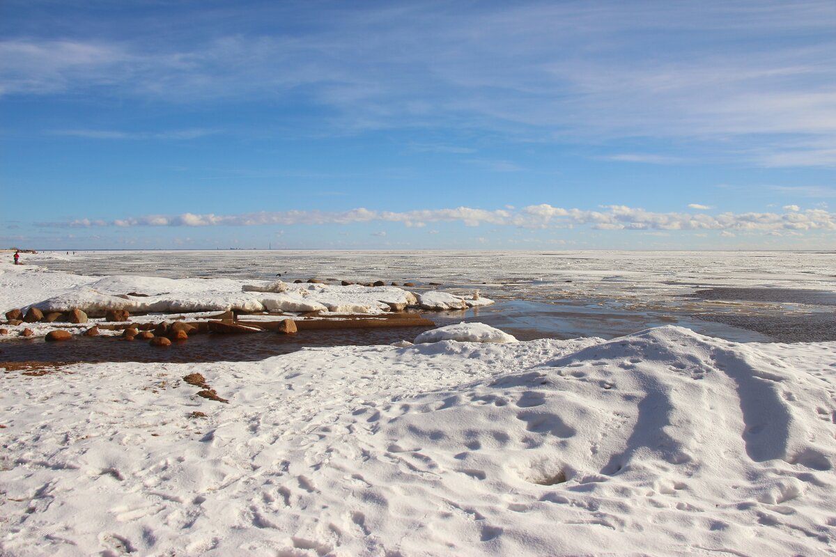 Зеленогорск. Март - Наталья Герасимова Зеленогорск. Март - Наталья Герасимова