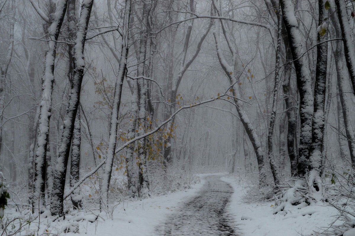 Метель...... - Юрий Цыплятников Метель...... - Юрий Цыплятников
