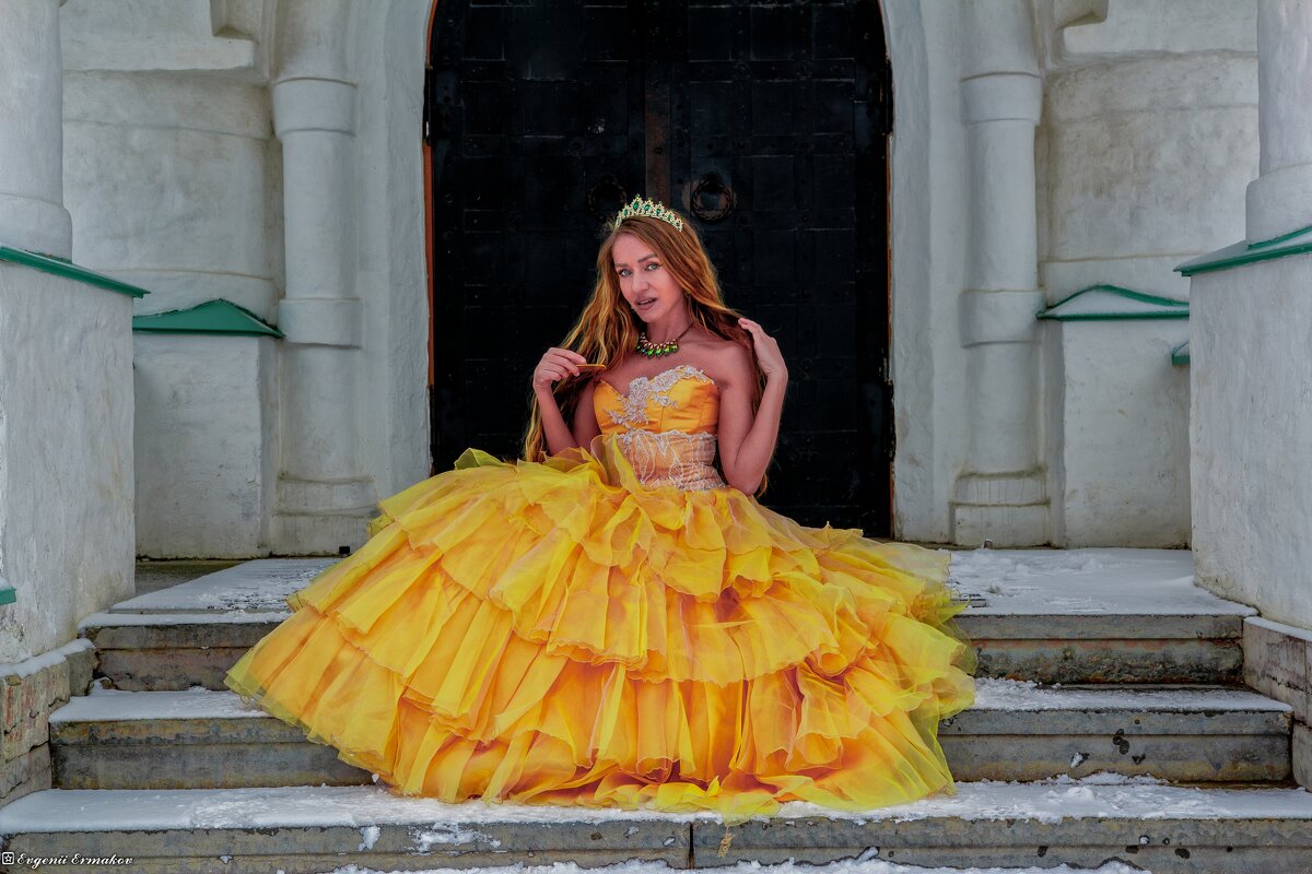 Принцесса на ступенях палаты - Евгений Ермаков