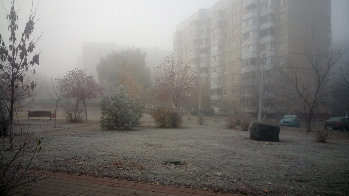 ,,, - Сергей Тимоновский