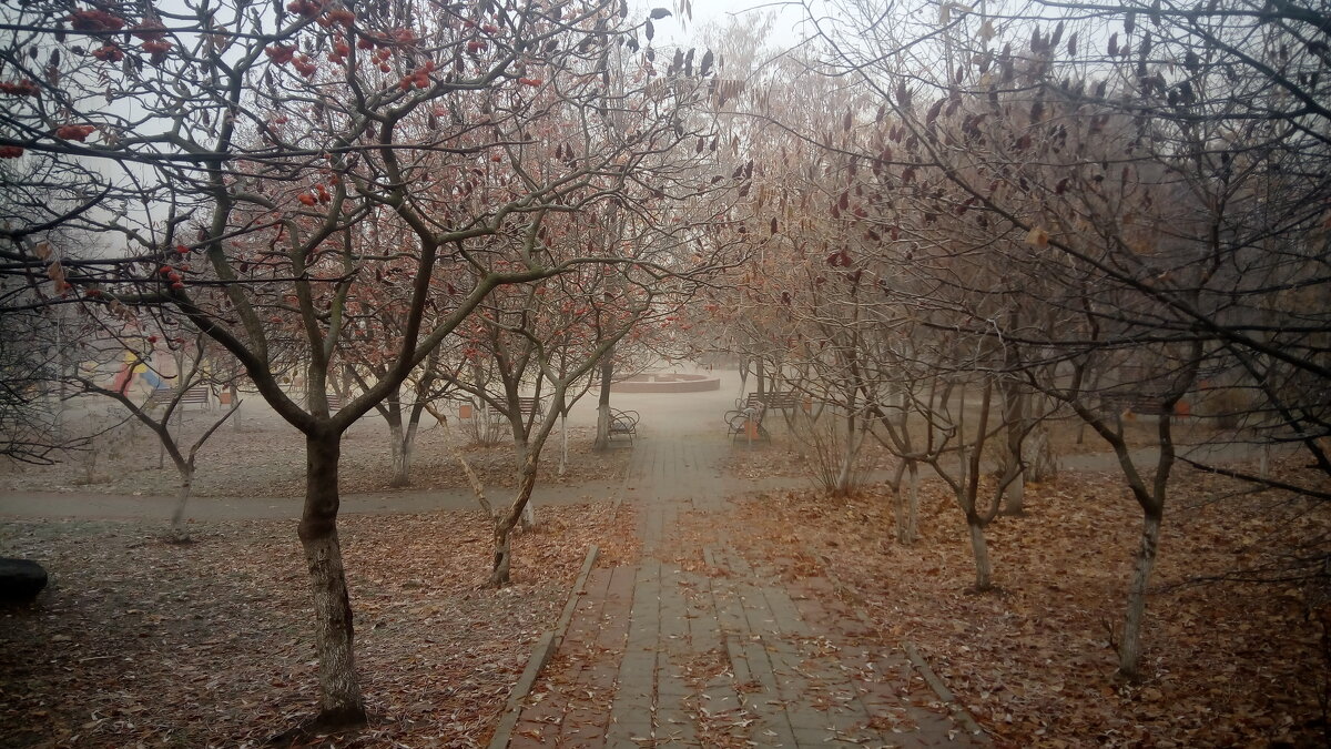 ,,, - Сергей Тимоновский