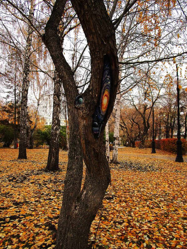 ПРО Екатеринбург - Елена Шаламова ПРО Екатеринбург - Елена Шаламова