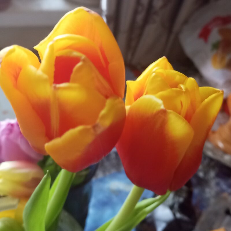 Двое - Елена Семигина