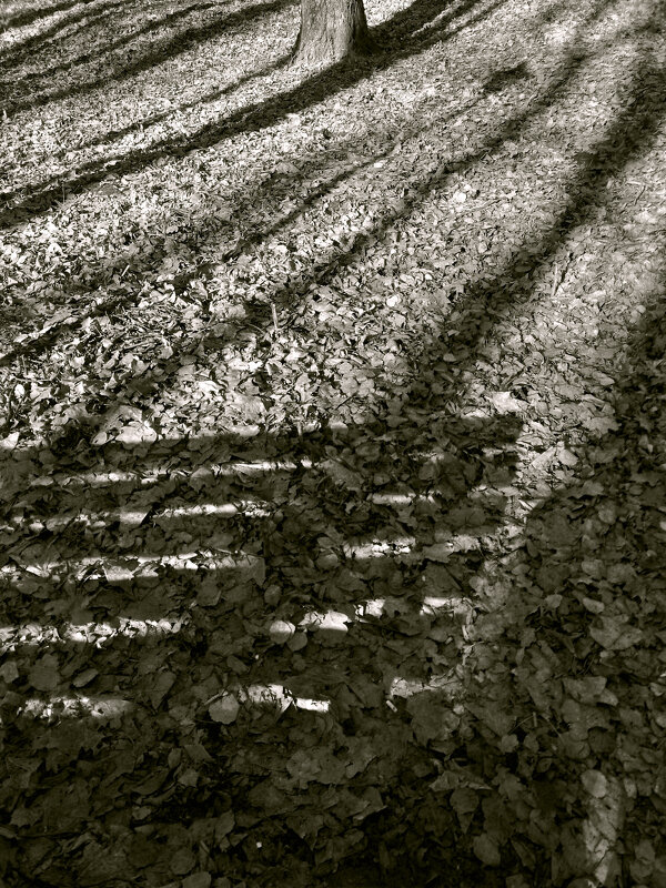 *** - Валентина Береснева