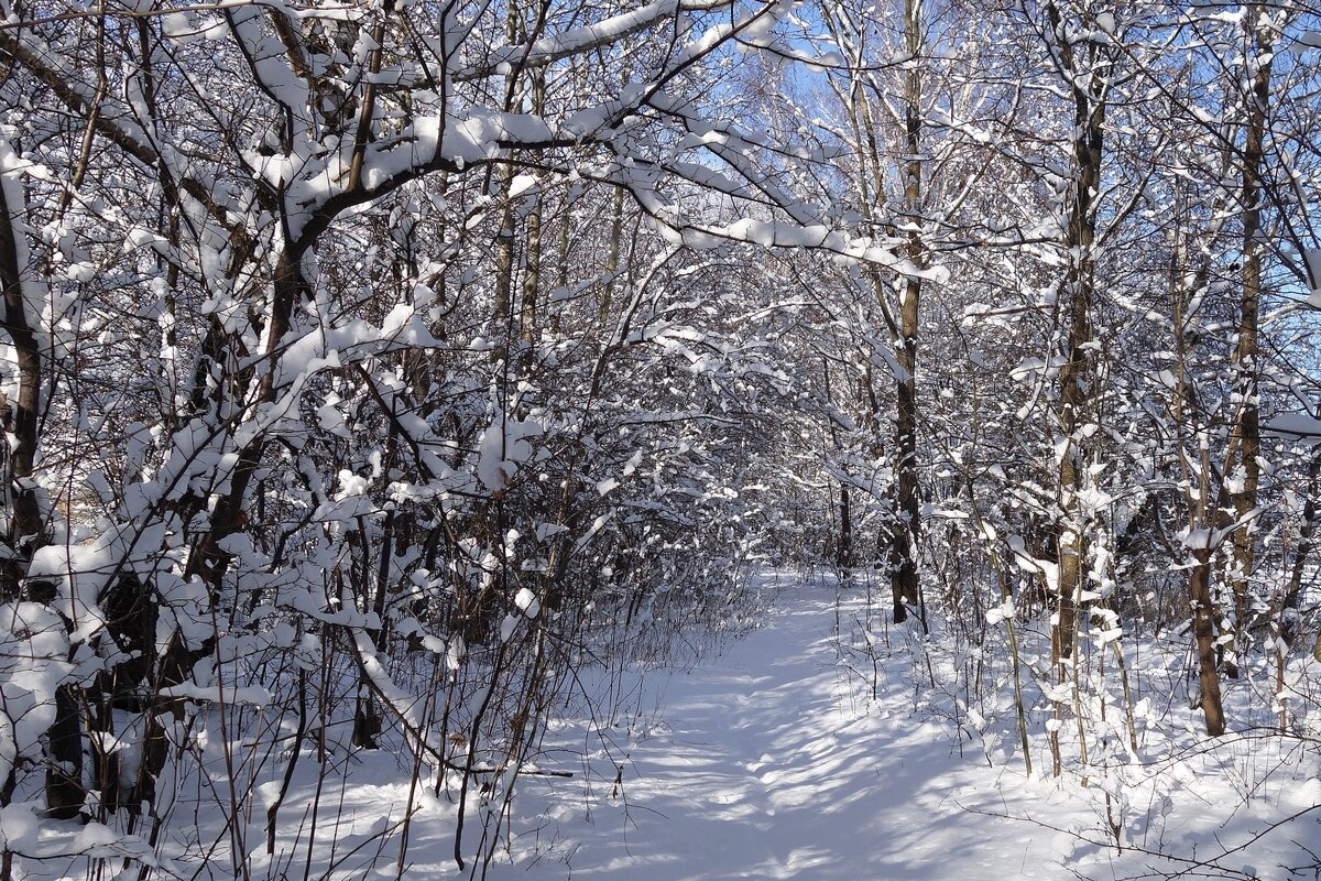 Зимушка-зима - Рита Симонова Зимушка-зима - Рита Симонова