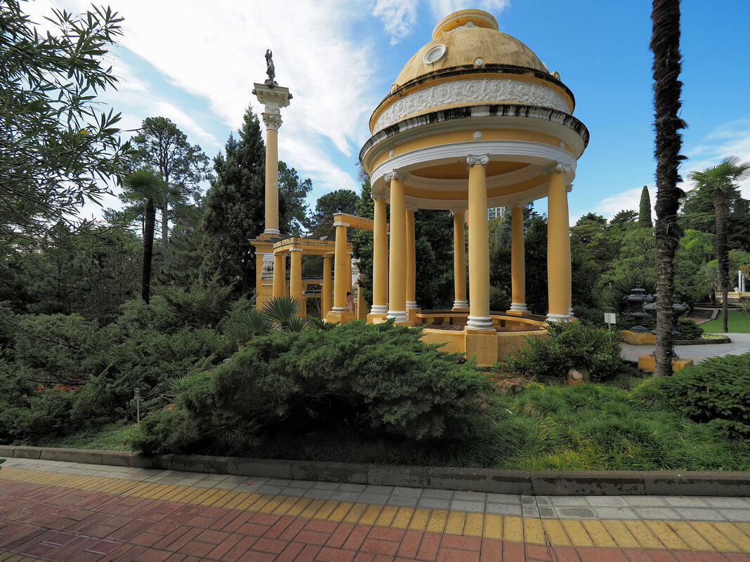 Сочинский дендропарк. - Евгений Седов Сочинский дендропарк. - Евгений Седов
