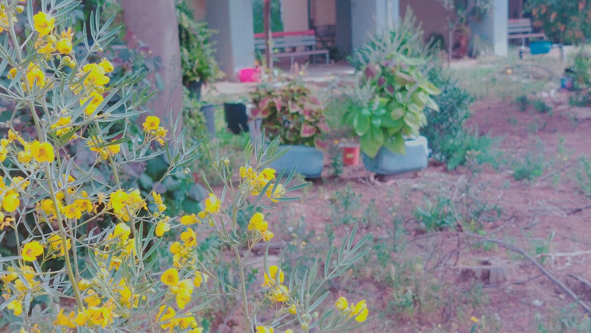 12  КЛОС (752) - CLOSE WAYS ALL