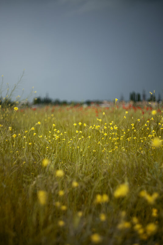 *** - Яна Горбунова